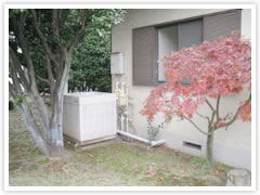 [����������]